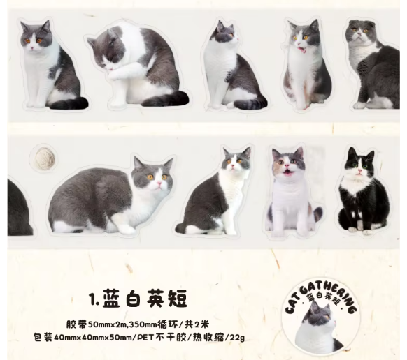 Stickers gatito