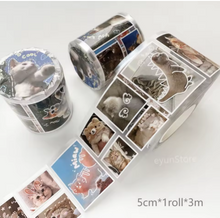 Cargar imagen en el visor de la galería, Stickers fotos editadas
