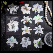 Cargar imagen en el visor de la galería, Stickers florescence
