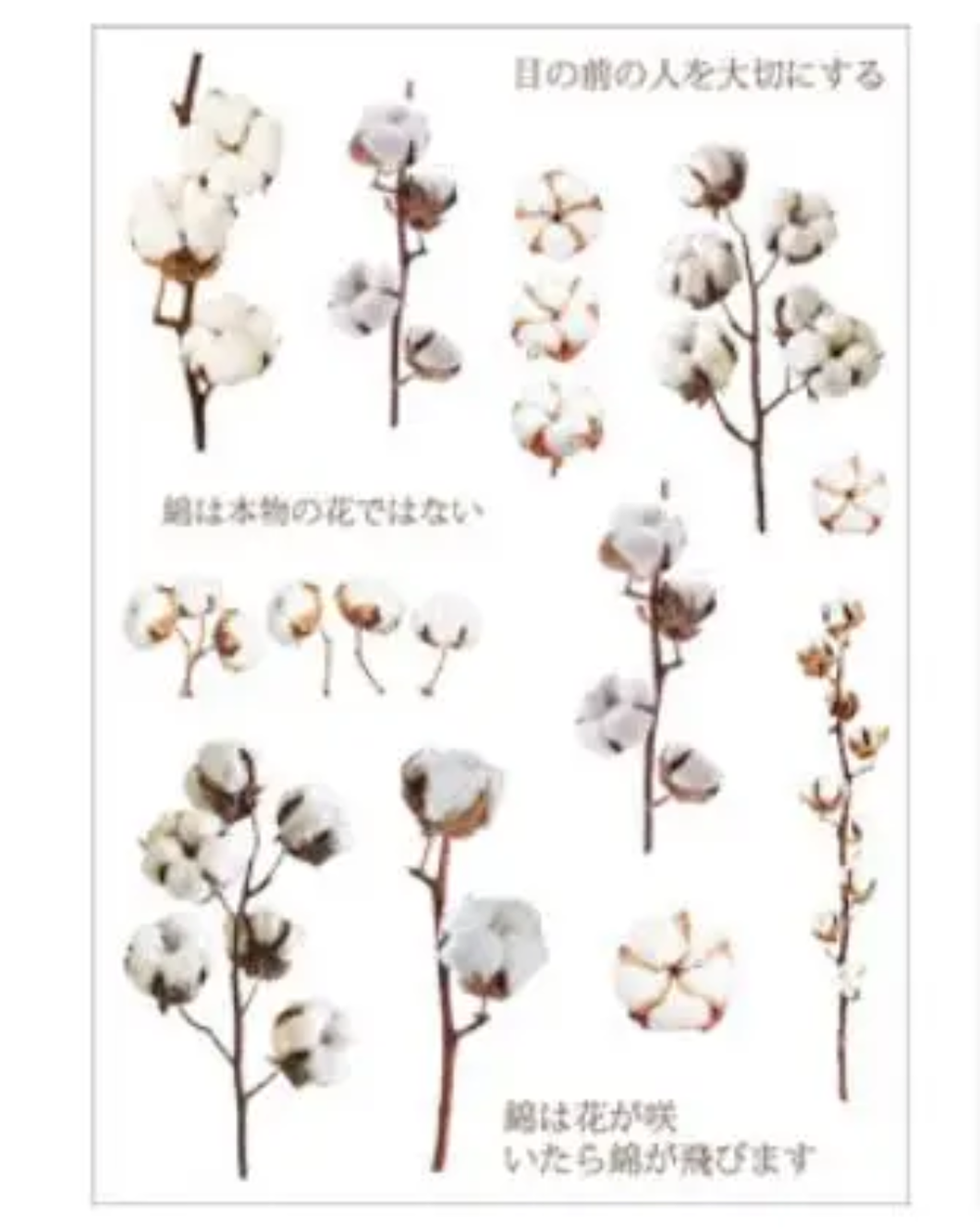 Stickers flores