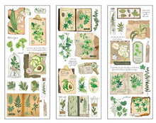 Cargar imagen en el visor de la galería, Stickers Vintage Plant
