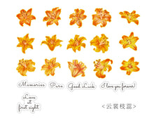 Cargar imagen en el visor de la galería, Sticker flower foil
