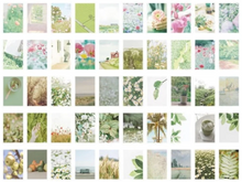 Cargar imagen en el visor de la galería, Stickers Garden Star
